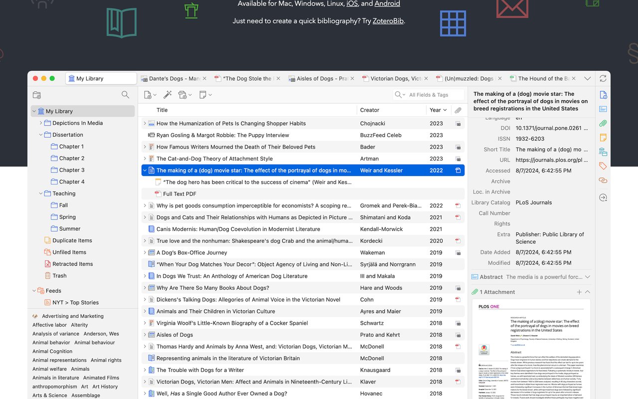 Zotero preview