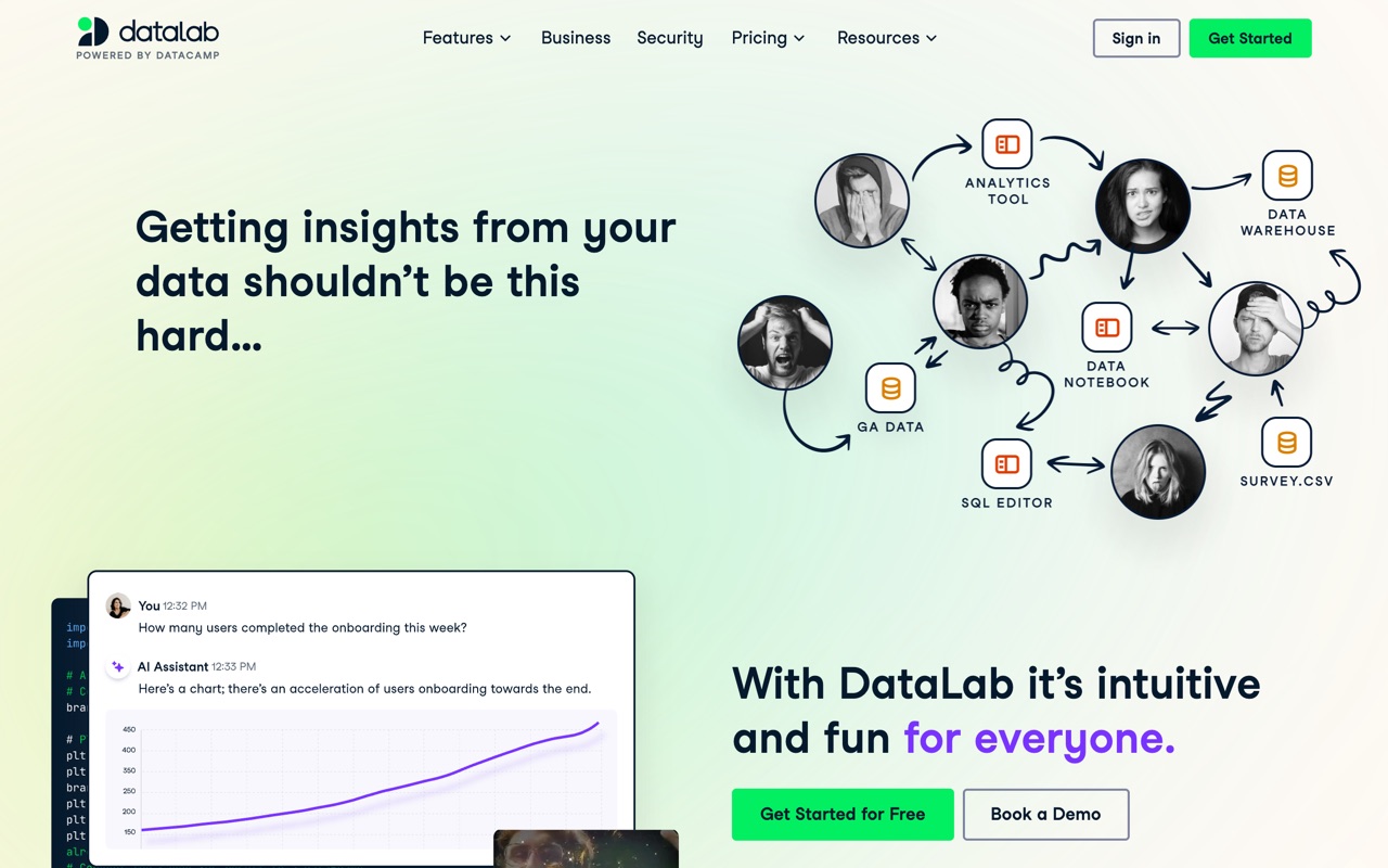 DataCamp — the product in use